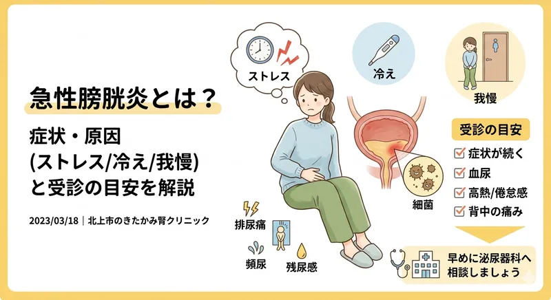 膀胱炎とは？症状・原因・受診の目安を解説