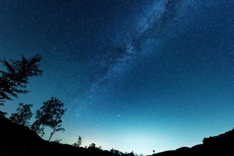 大人の夜尿症（おねしょ）｜原因・頻度・受診の目安を解説