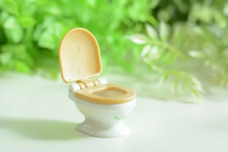 中高年男性に多い前立腺肥大症｜原因・症状・予防法をわかりやすく解説