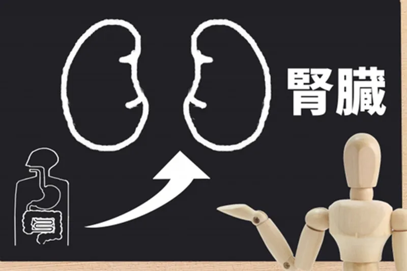 腎臓の働きが悪くなると、どんな症状があらわれるの？